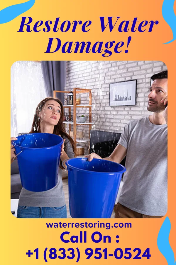 water restoration Advanced Recovery Force Norwich