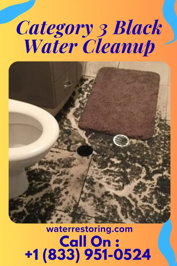 Category 3 Black Water Cleanup in Norwich, CT