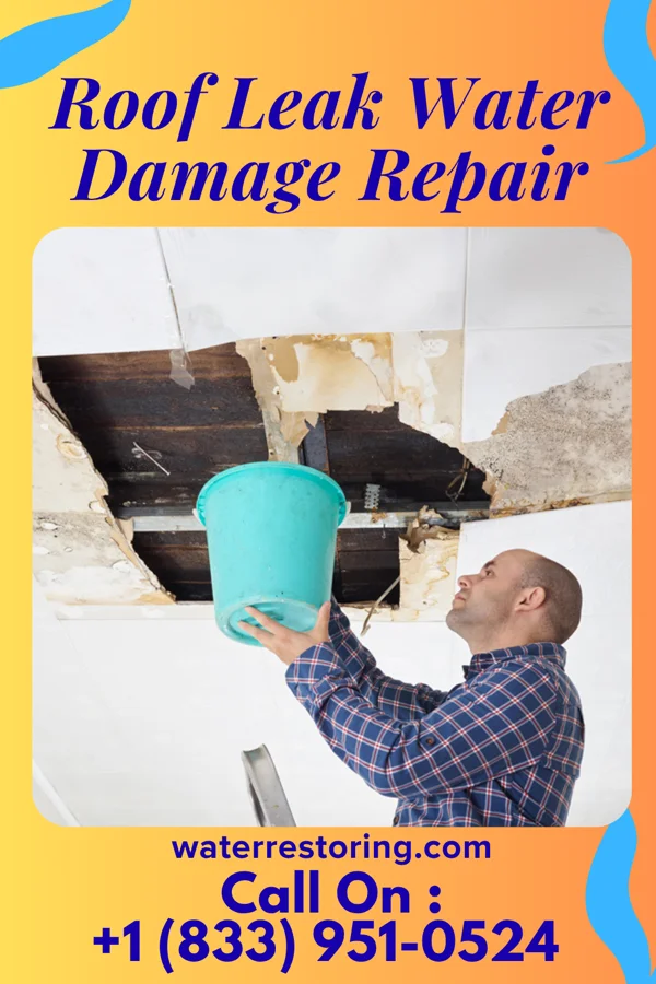 Roof Leak Water Damage Repair in Norwich, CT